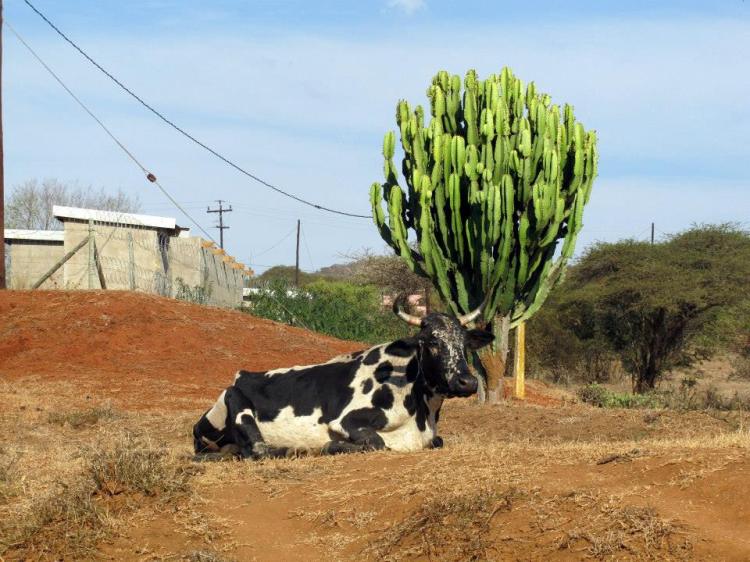 11703311_10155942970270201_1388016455922481382_n